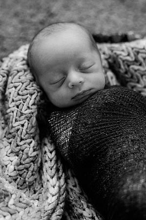 Hartwig Newborn