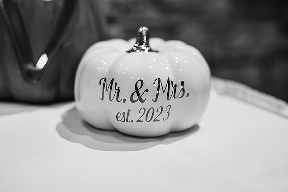 VanBoxtel Wedding