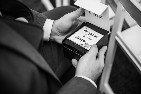 VanBoxtel Wedding