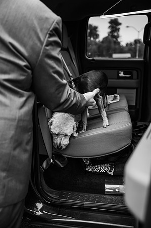 VanBoxtel Wedding