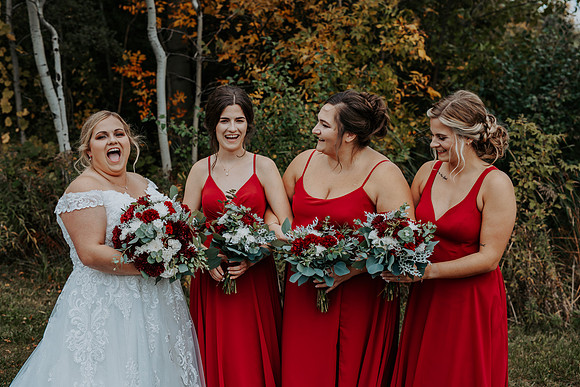 VanBoxtel Wedding