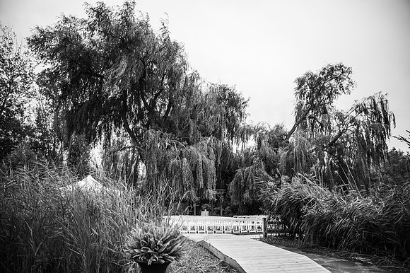 VanBoxtel Wedding