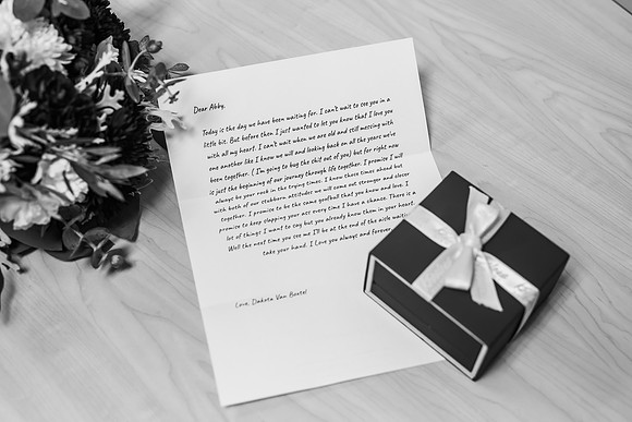 VanBoxtel Wedding