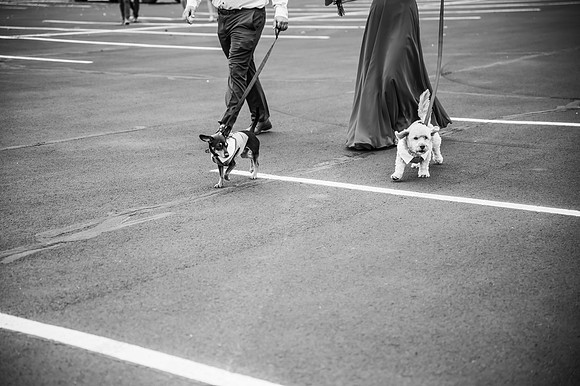 VanBoxtel Wedding