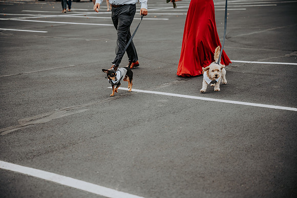 VanBoxtel Wedding