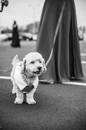 VanBoxtel Wedding