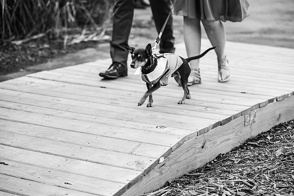 VanBoxtel Wedding