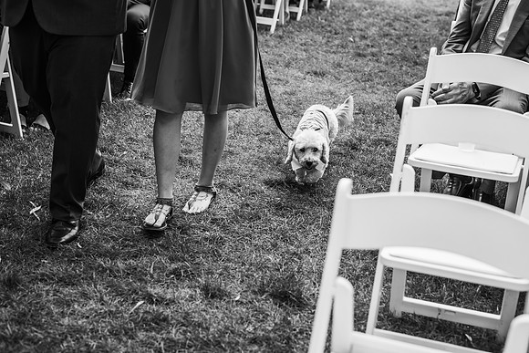 VanBoxtel Wedding