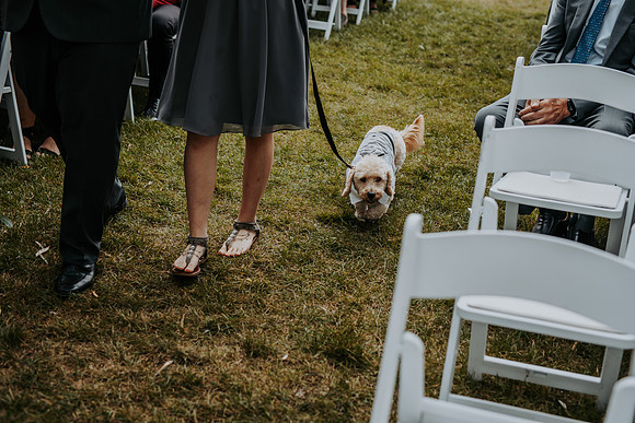 VanBoxtel Wedding