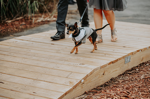 VanBoxtel Wedding