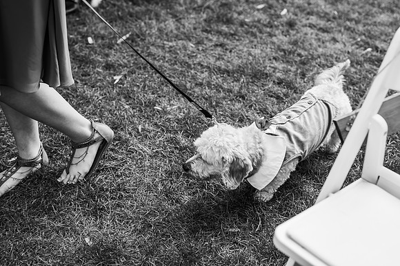 VanBoxtel Wedding
