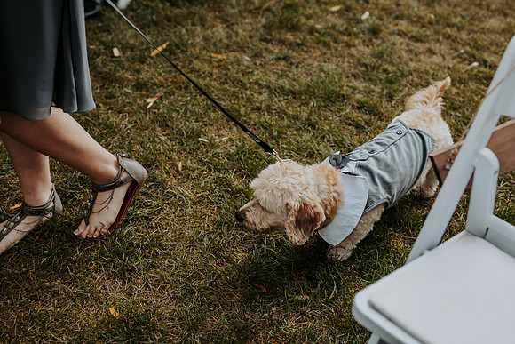 VanBoxtel Wedding
