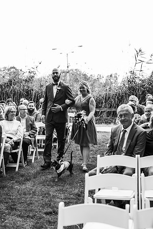 VanBoxtel Wedding