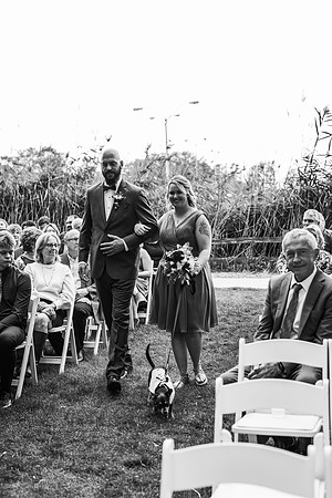 VanBoxtel Wedding