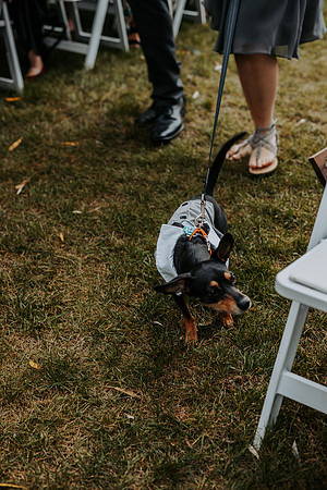 VanBoxtel Wedding