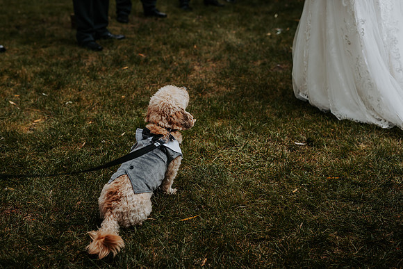 VanBoxtel Wedding