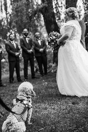 VanBoxtel Wedding