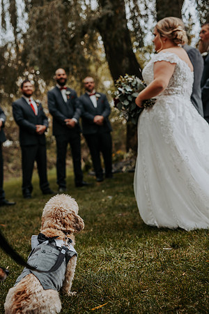 VanBoxtel Wedding
