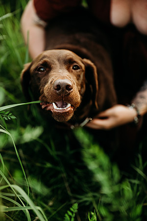 Charlie Puppy Photos