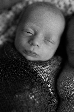 Hartwig Newborn