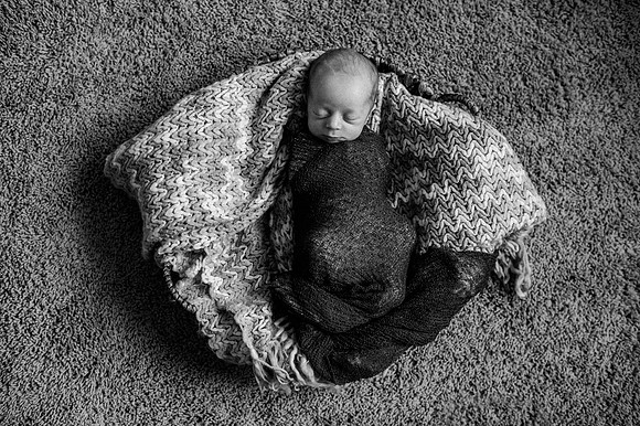 Hartwig Newborn