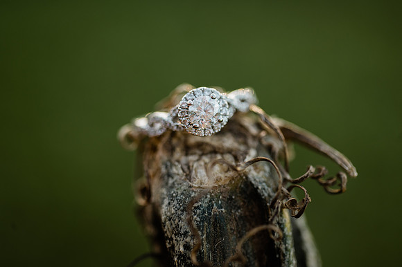 Gregorich Engagement