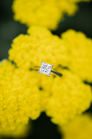 Juliet + Clint's Wisconsin engagement session took place at the Botanical Gardens of Green Bay on a gorgous July evening.