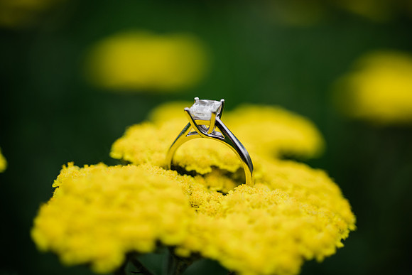Juliet + Clint's Wisconsin engagement session took place at the Botanical Gardens of Green Bay on a gorgous July evening.