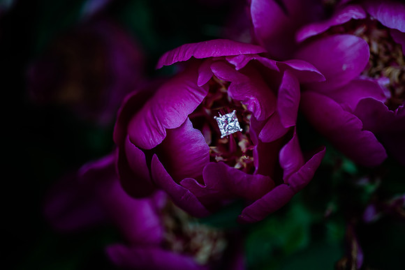 Juliet + Clint's Wisconsin engagement session took place at the Botanical Gardens of Green Bay on a gorgous July evening.
