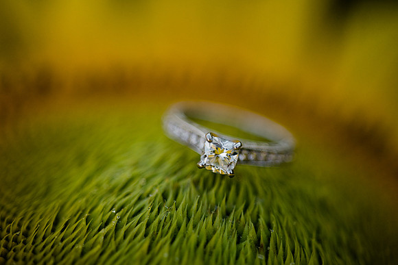 C+R Engagement Session