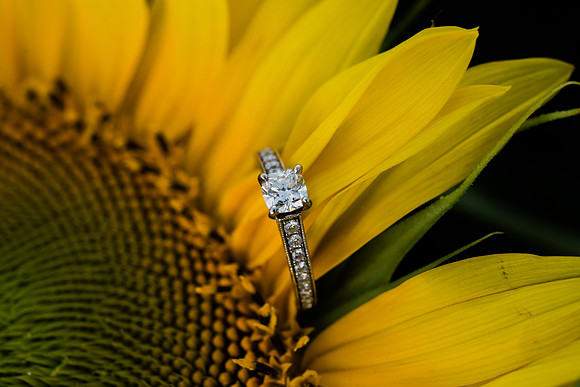 C+R Engagement Session