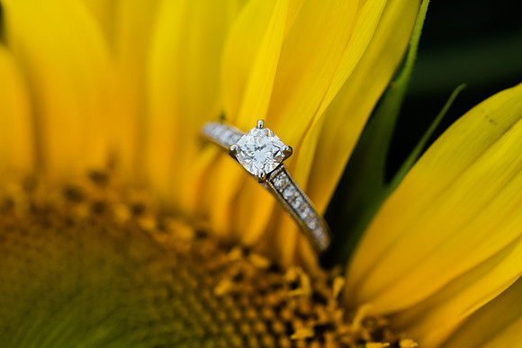 C+R Engagement Session