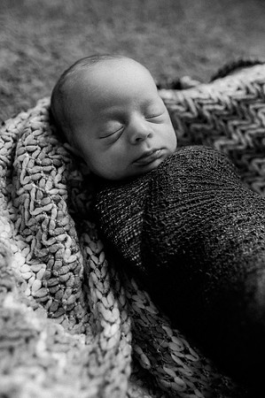 Hartwig Newborn
