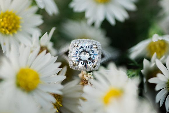 P+C Engagement