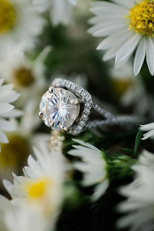 P+C Engagement