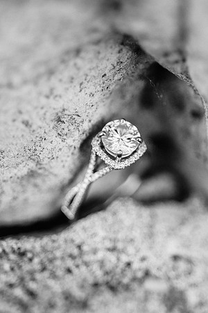 P+C Engagement