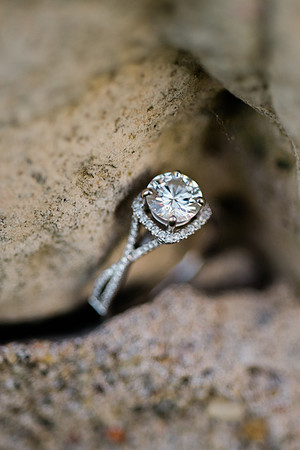 P+C Engagement