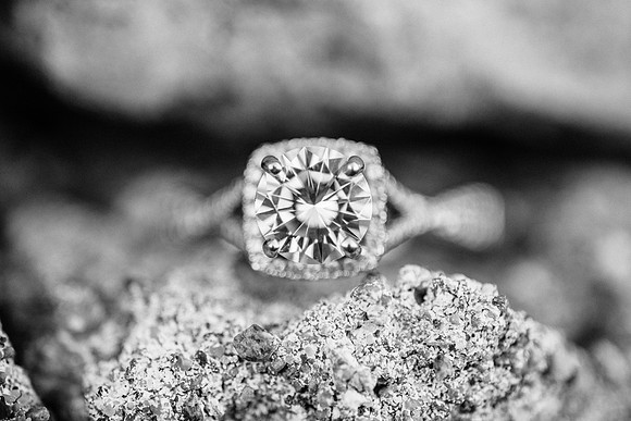 P+C Engagement