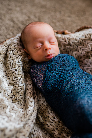 Hartwig Newborn