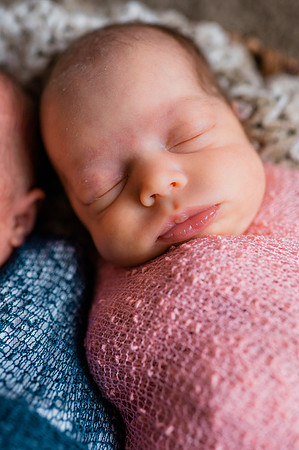 Hartwig Newborn