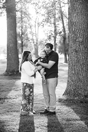 Visintin Engagement
