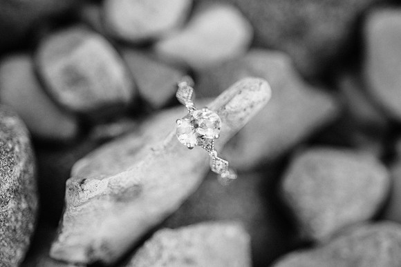 Visintin Engagement