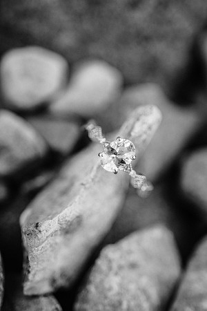 Visintin Engagement