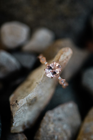 Visintin Engagement