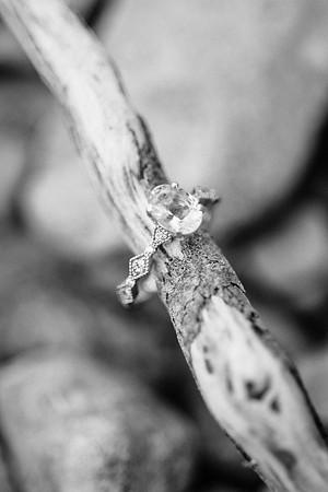 Visintin Engagement