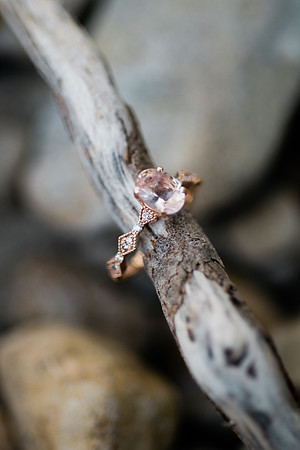 Visintin Engagement