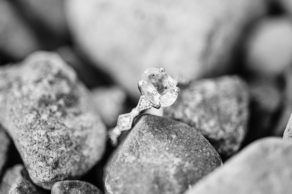 Visintin Engagement