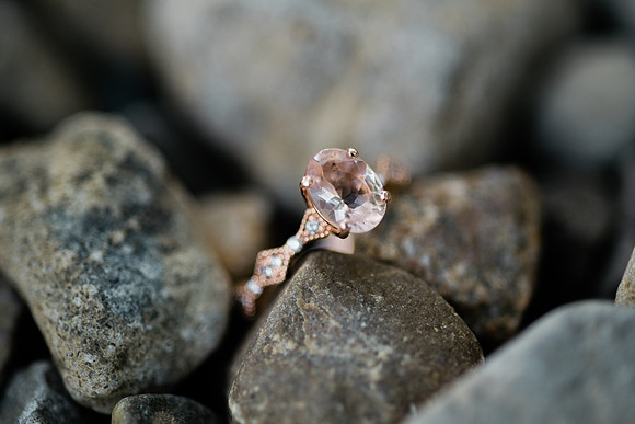 Visintin Engagement