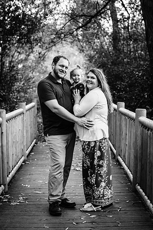 Visintin Engagement