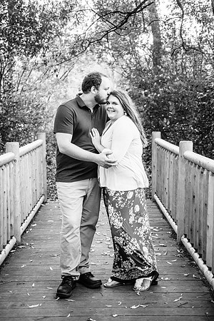 Visintin Engagement